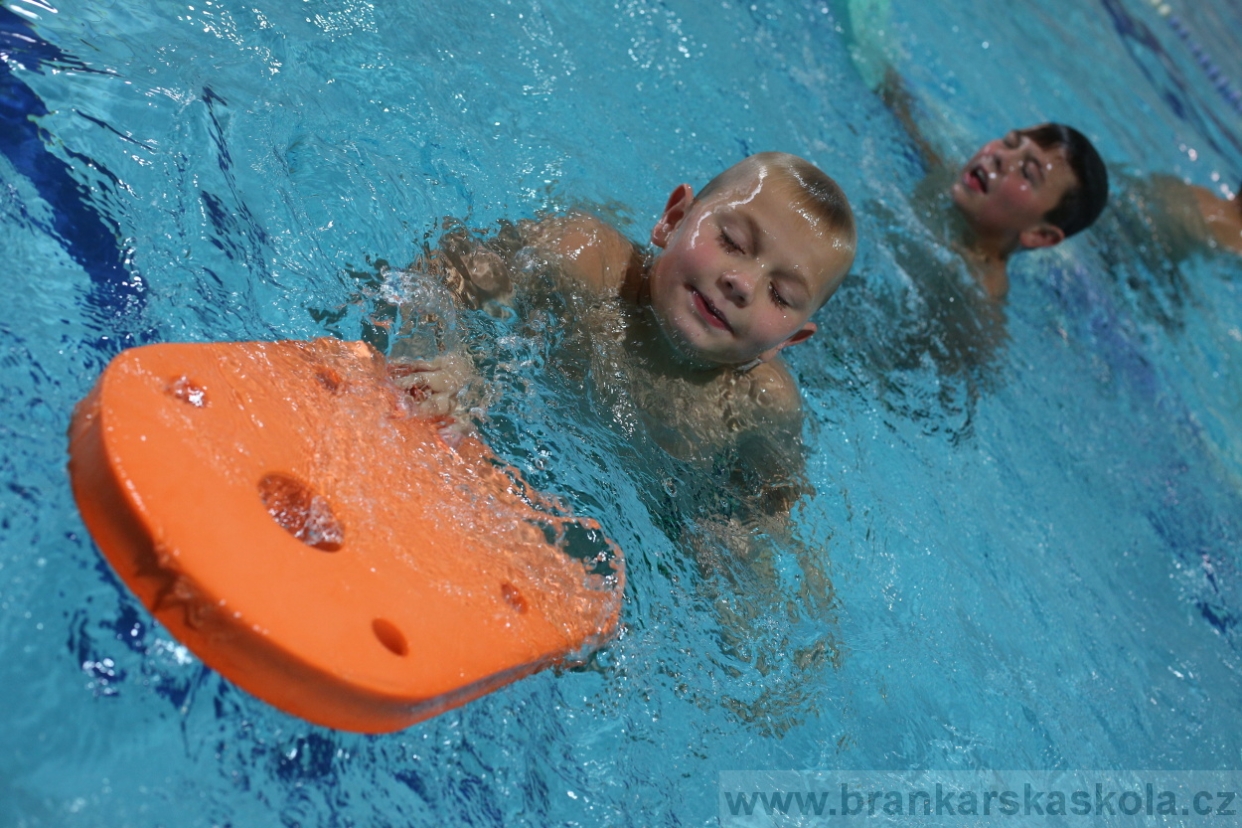 BFŠJCH - Léto 2017 - 27.7.2018