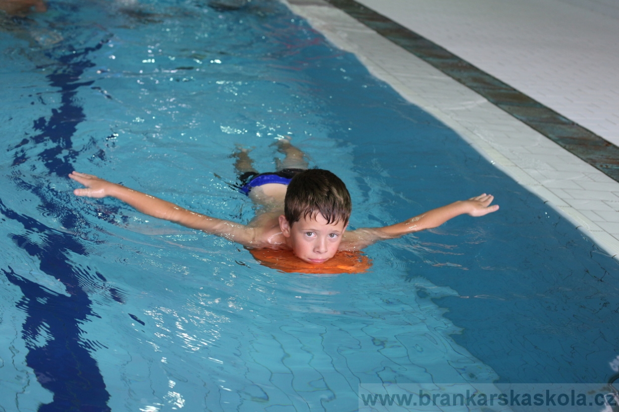 BFŠJCH - Léto 2017 - 27.7.2018