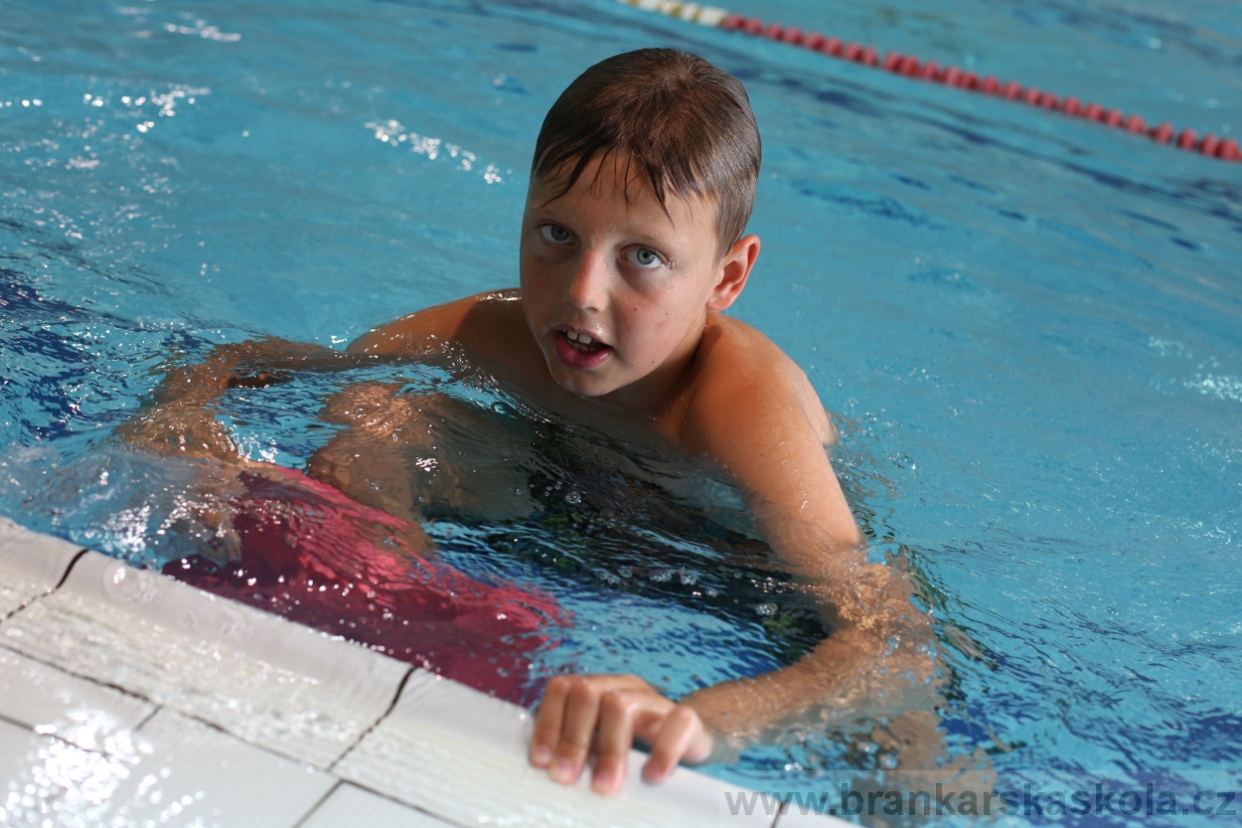 BFŠJCH - Léto 2017 - 27.7.2018