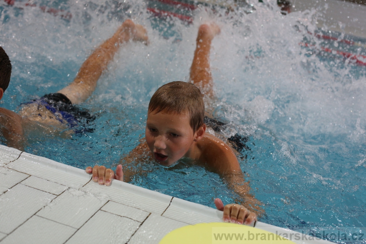 BFŠJCH - Léto 2017 - 27.7.2018