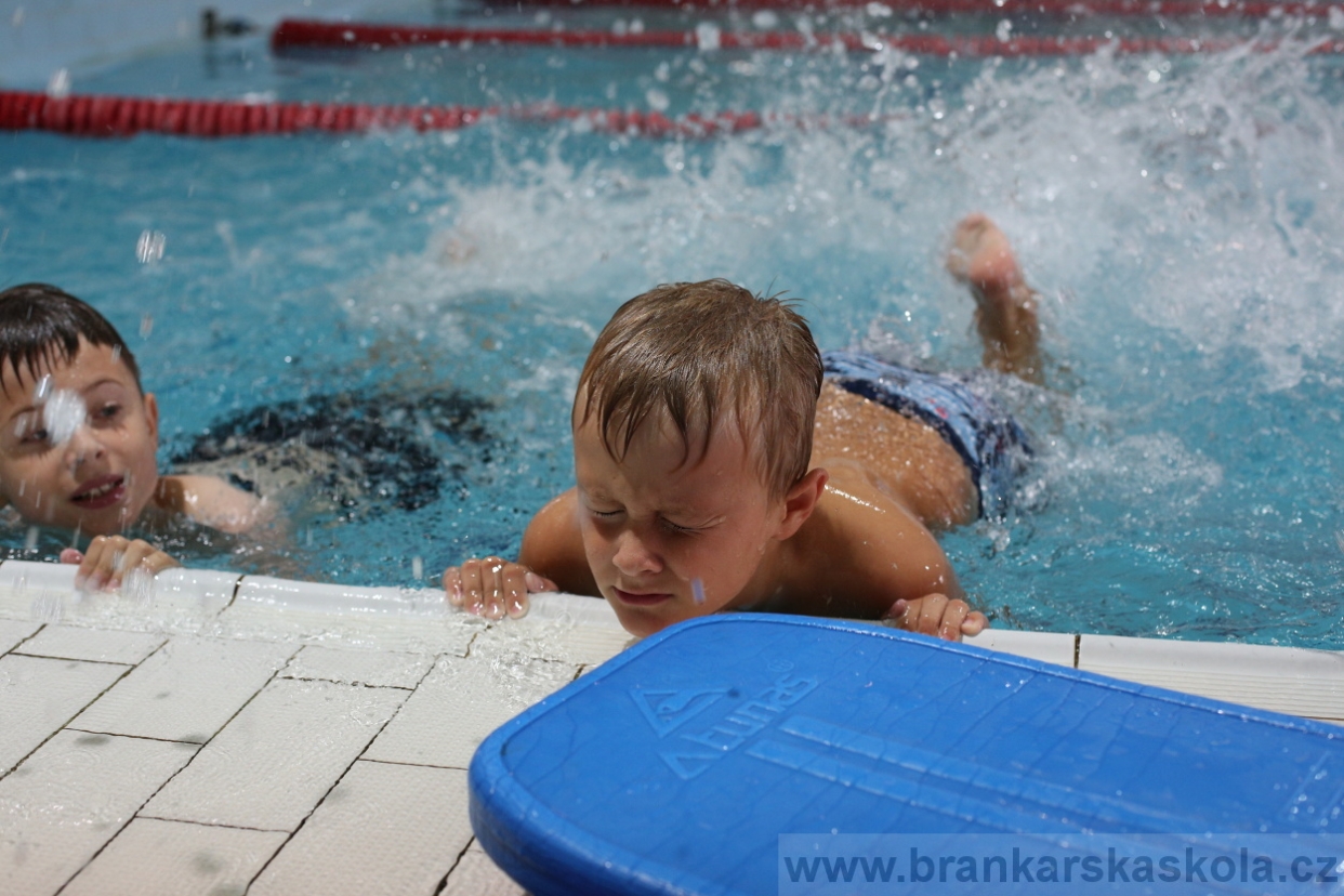 BFŠJCH - Léto 2017 - 27.7.2018