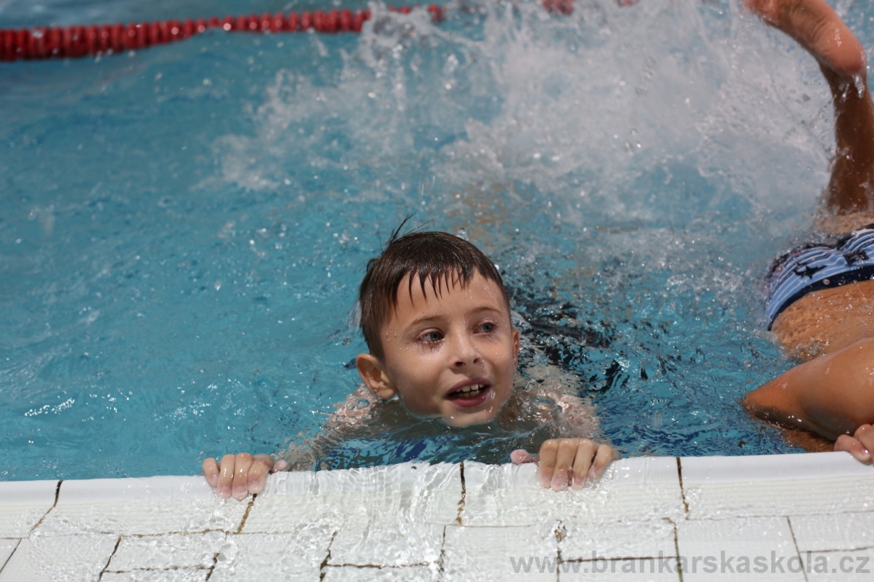 BFŠJCH - Léto 2017 - 27.7.2018