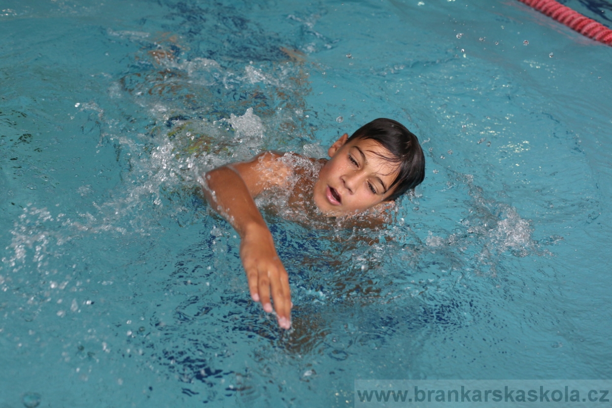 BFŠJCH - Léto 2017 - 27.7.2018