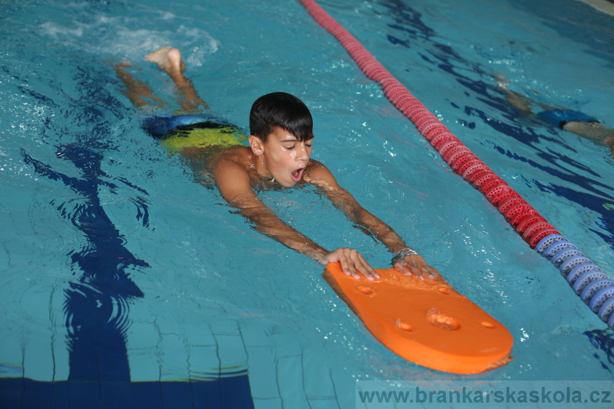 BFŠJCH - Léto 2017 - 27.7.2018