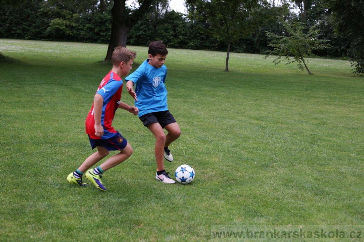 BFŠJCH - Léto 2017 - 27.7.2018