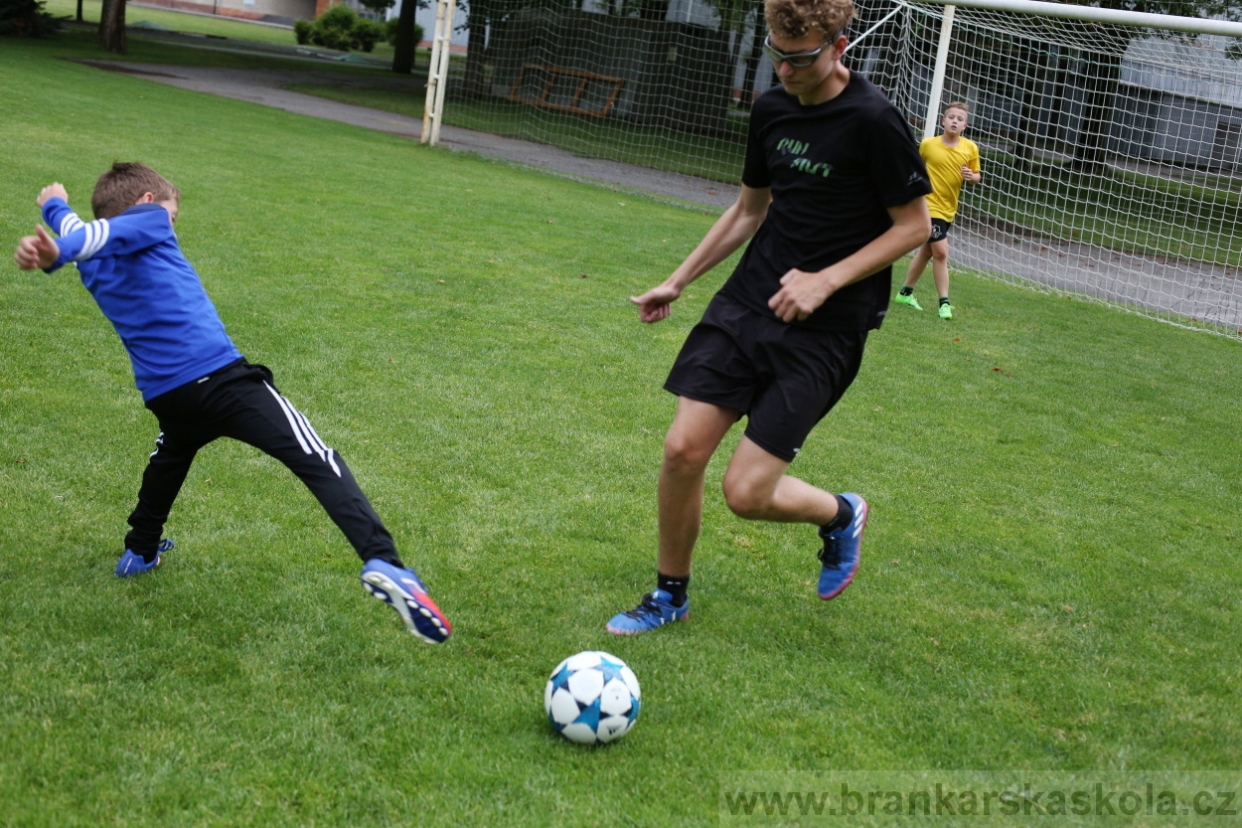 BFŠJCH - Léto 2017 - 27.7.2018