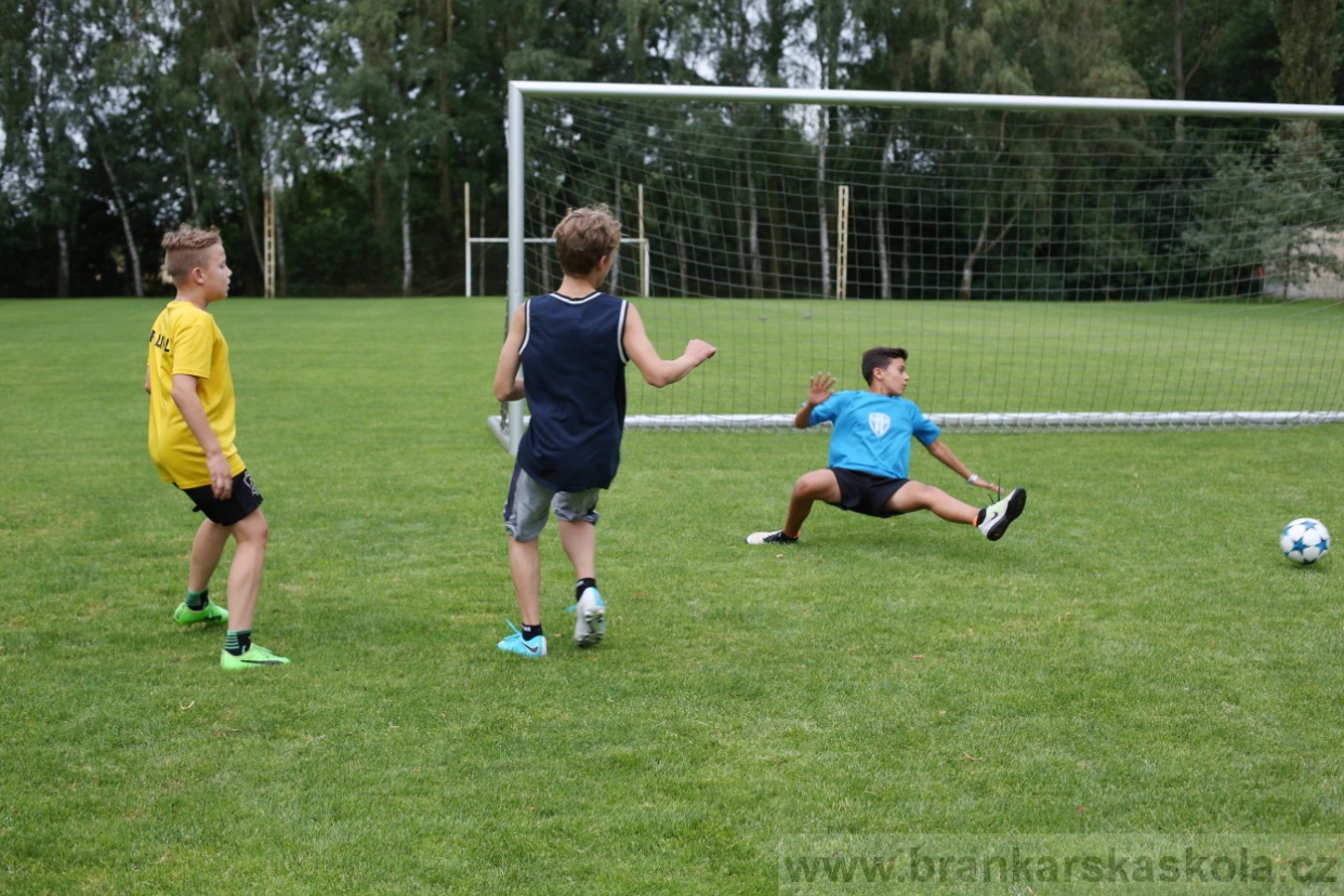 BFŠJCH - Léto 2017 - 27.7.2018