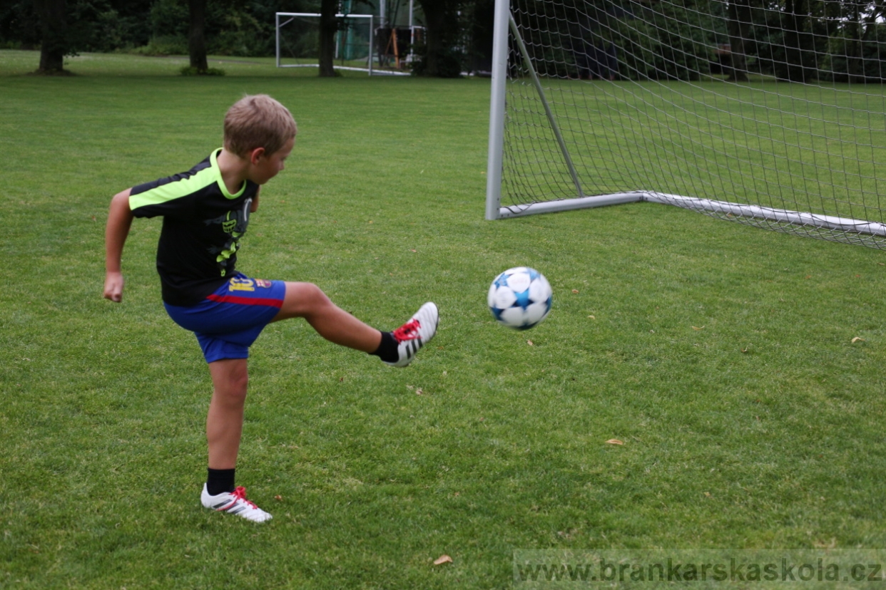 BFŠJCH - Léto 2017 - 27.7.2018