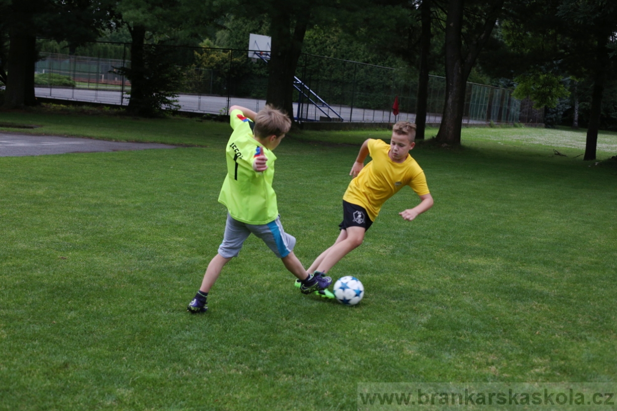 BFŠJCH - Léto 2017 - 27.7.2018