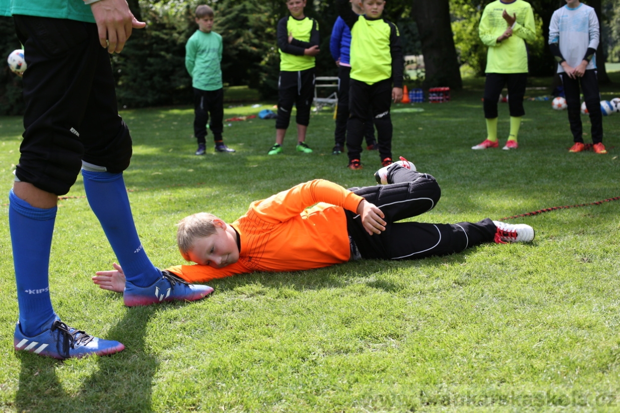 BFŠJCH - Léto 2017 - 28.7.2018