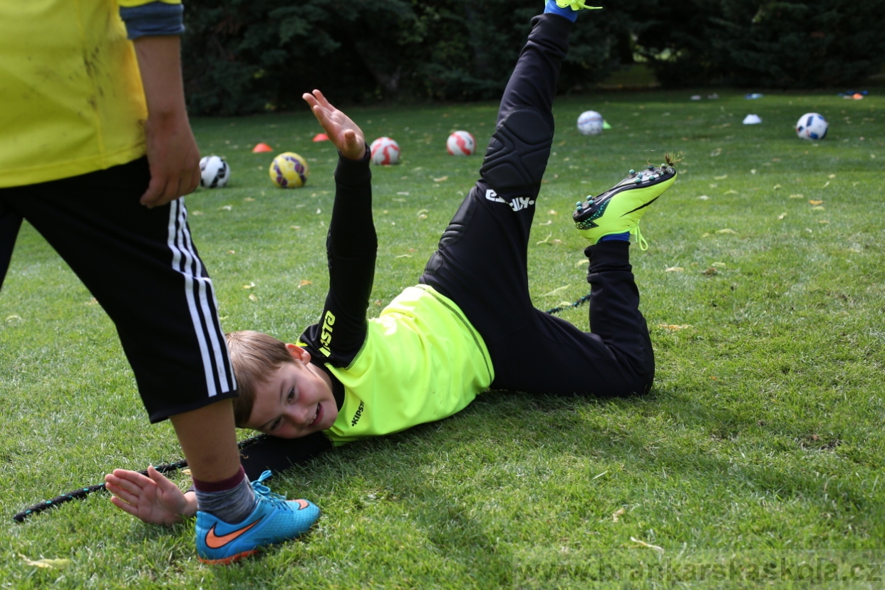 BFŠJCH - Léto 2017 - 28.7.2018