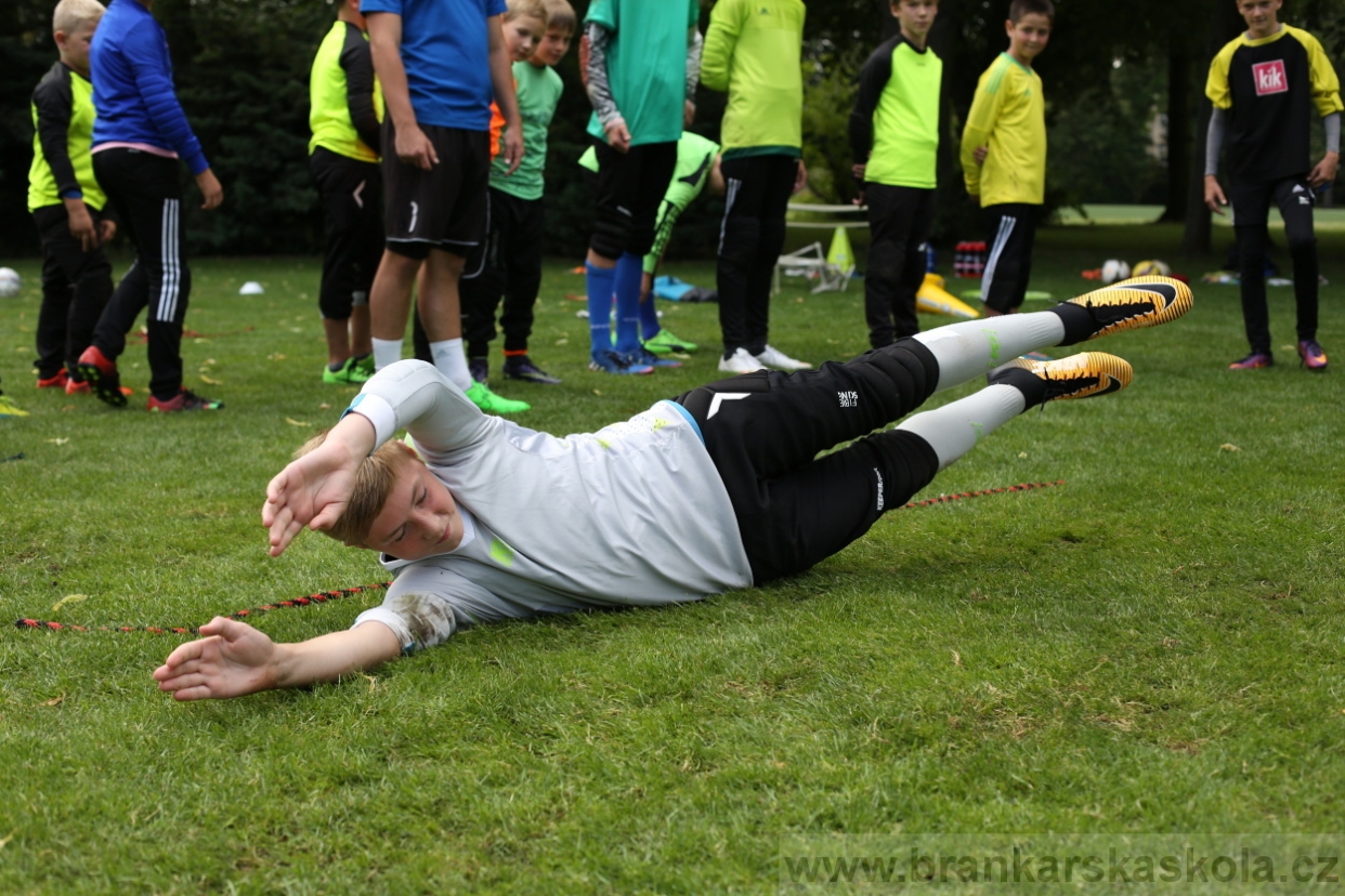 BFŠJCH - Léto 2017 - 28.7.2018