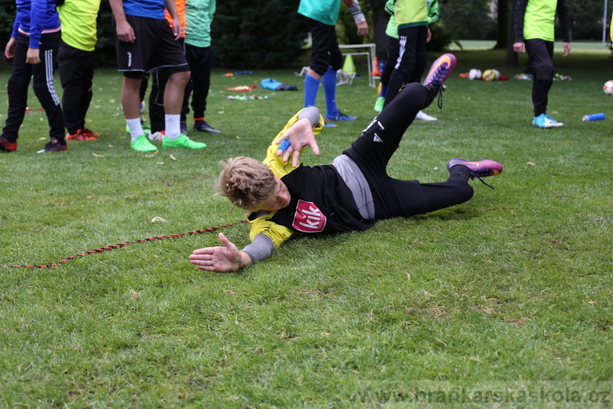 BFŠJCH - Léto 2017 - 28.7.2018