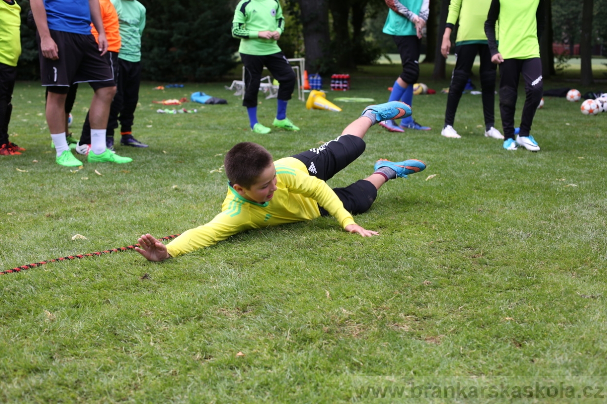 BFŠJCH - Léto 2017 - 28.7.2018