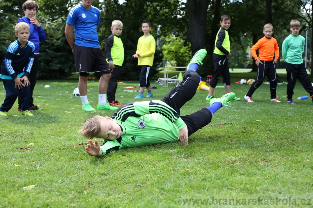 BFŠJCH - Léto 2017 - 28.7.2018