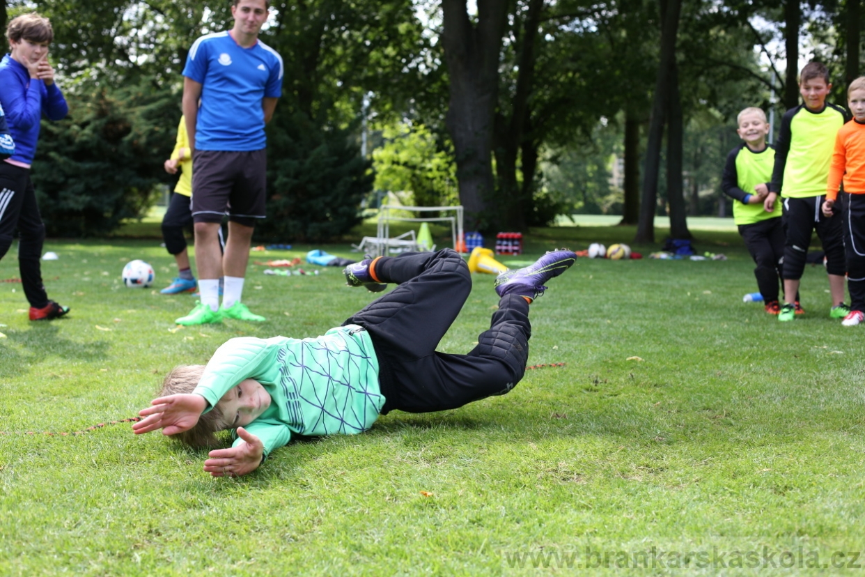 BFŠJCH - Léto 2017 - 28.7.2018