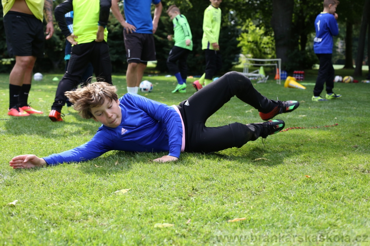 BFŠJCH - Léto 2017 - 28.7.2018