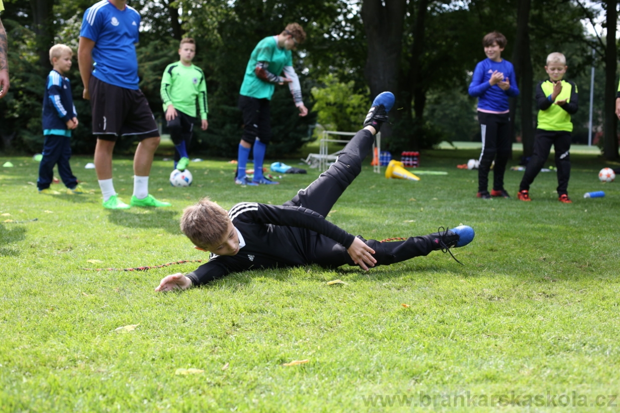 BFŠJCH - Léto 2017 - 28.7.2018