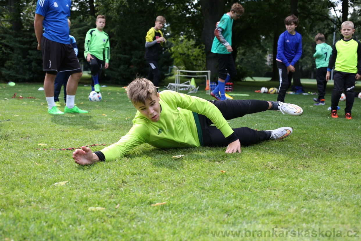 BFŠJCH - Léto 2017 - 28.7.2018