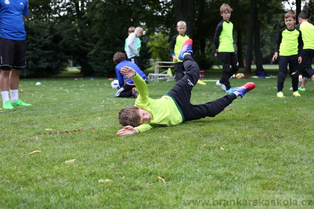 BFŠJCH - Léto 2017 - 28.7.2018