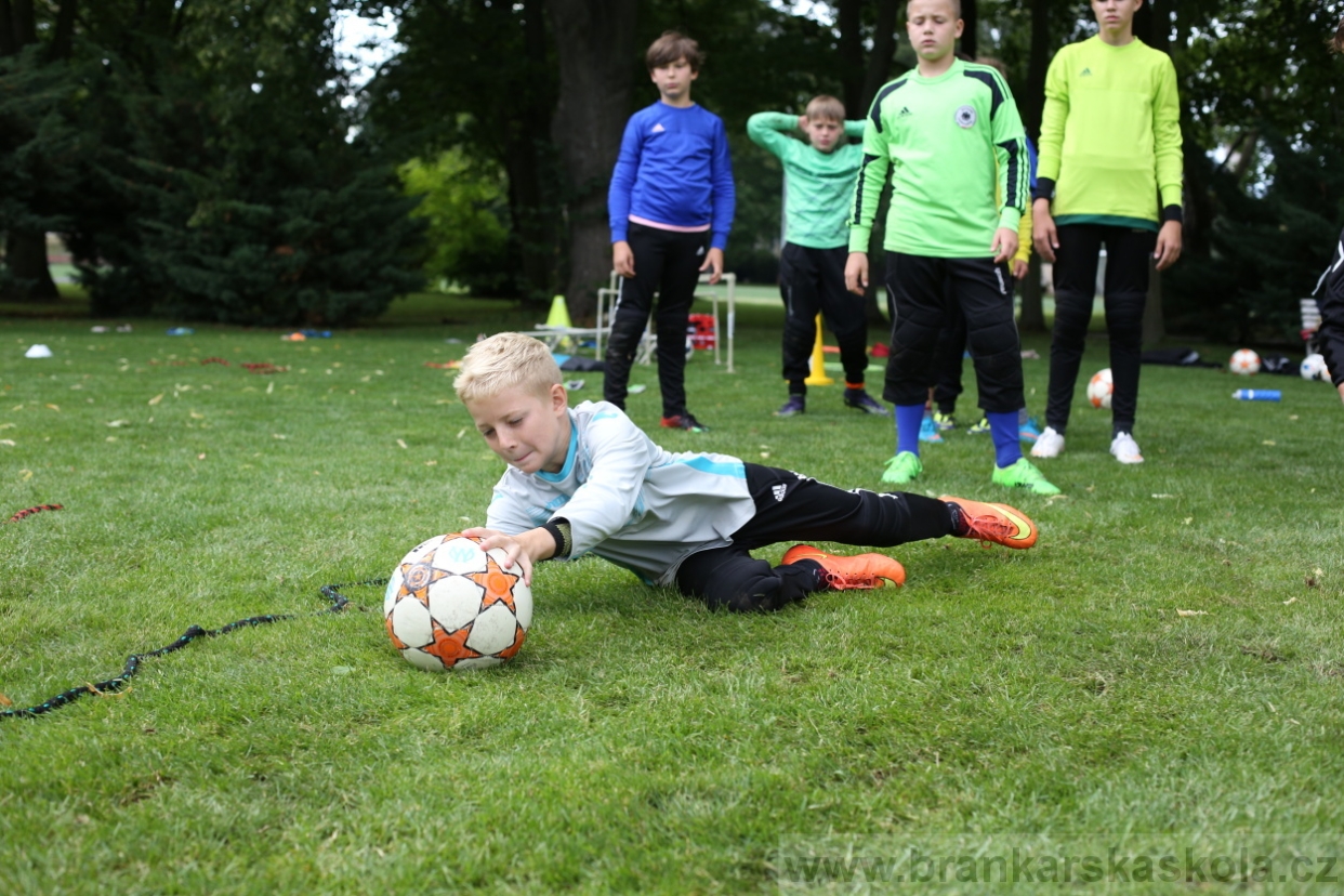 BFŠJCH - Léto 2017 - 28.7.2018