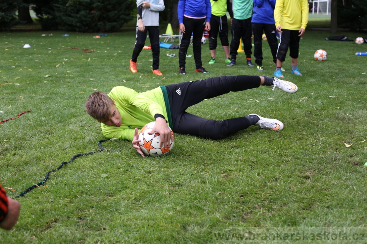 BFŠJCH - Léto 2017 - 28.7.2018