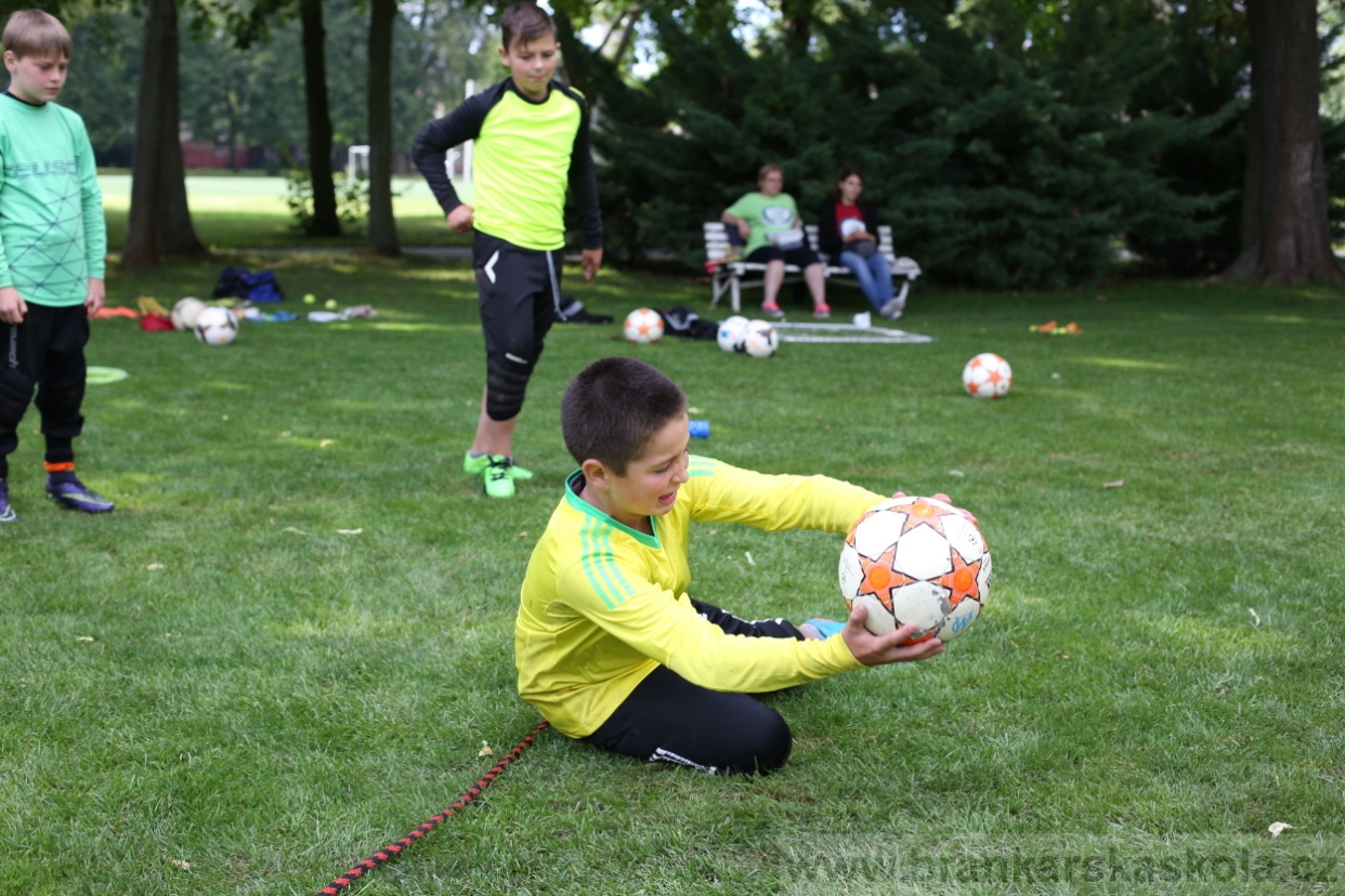BFŠJCH - Léto 2017 - 28.7.2018
