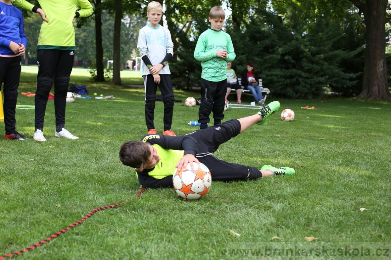 BFŠJCH - Léto 2017 - 28.7.2018