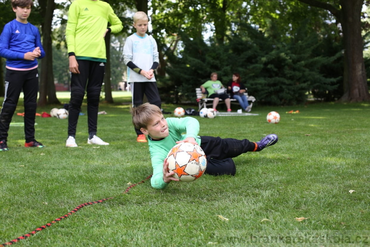 BFŠJCH - Léto 2017 - 28.7.2018