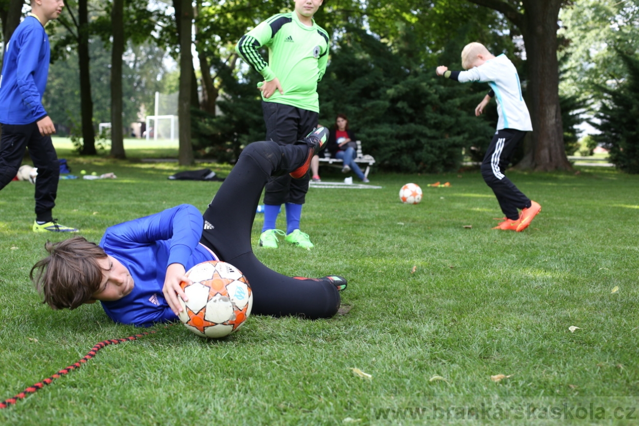 BFŠJCH - Léto 2017 - 28.7.2018