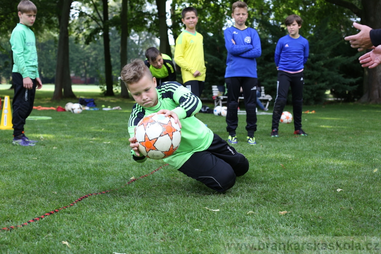 BFŠJCH - Léto 2017 - 28.7.2018