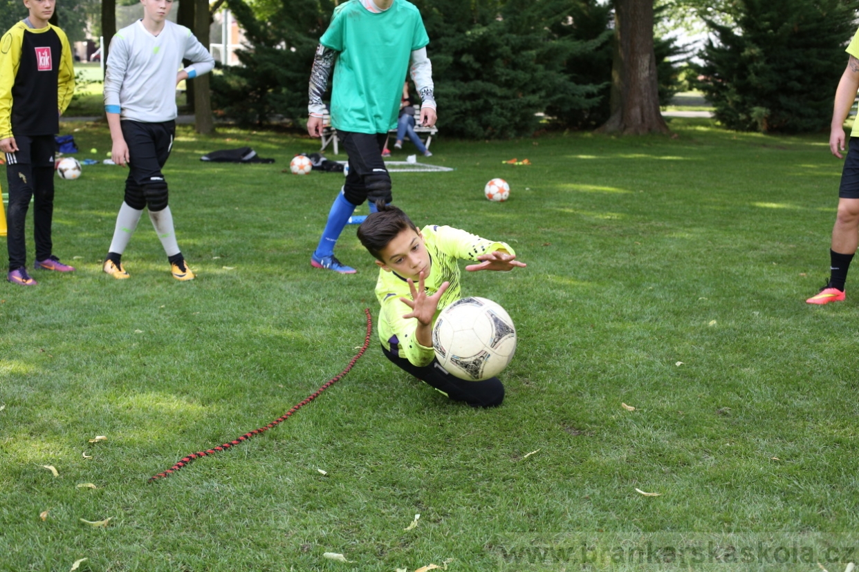 BFŠJCH - Léto 2017 - 28.7.2018