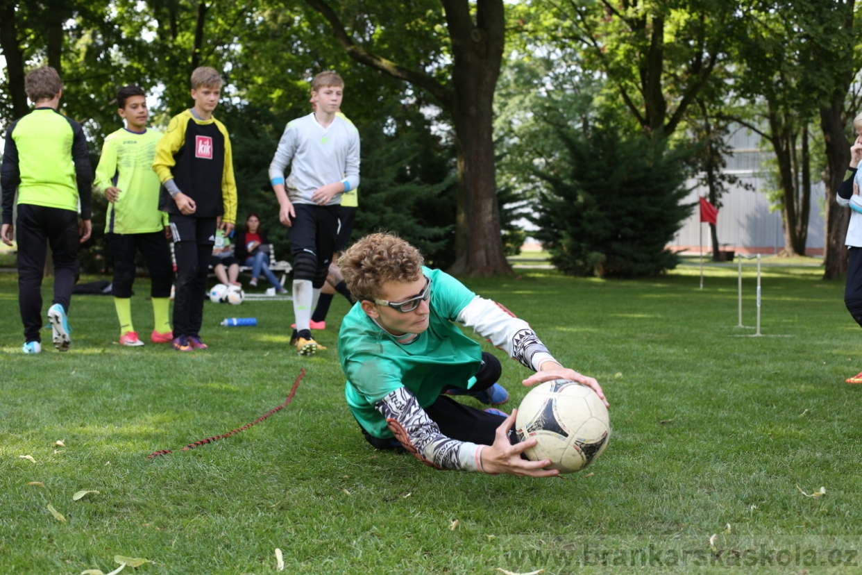 BFŠJCH - Léto 2017 - 28.7.2018