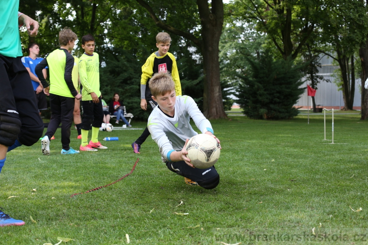 BFŠJCH - Léto 2017 - 28.7.2018