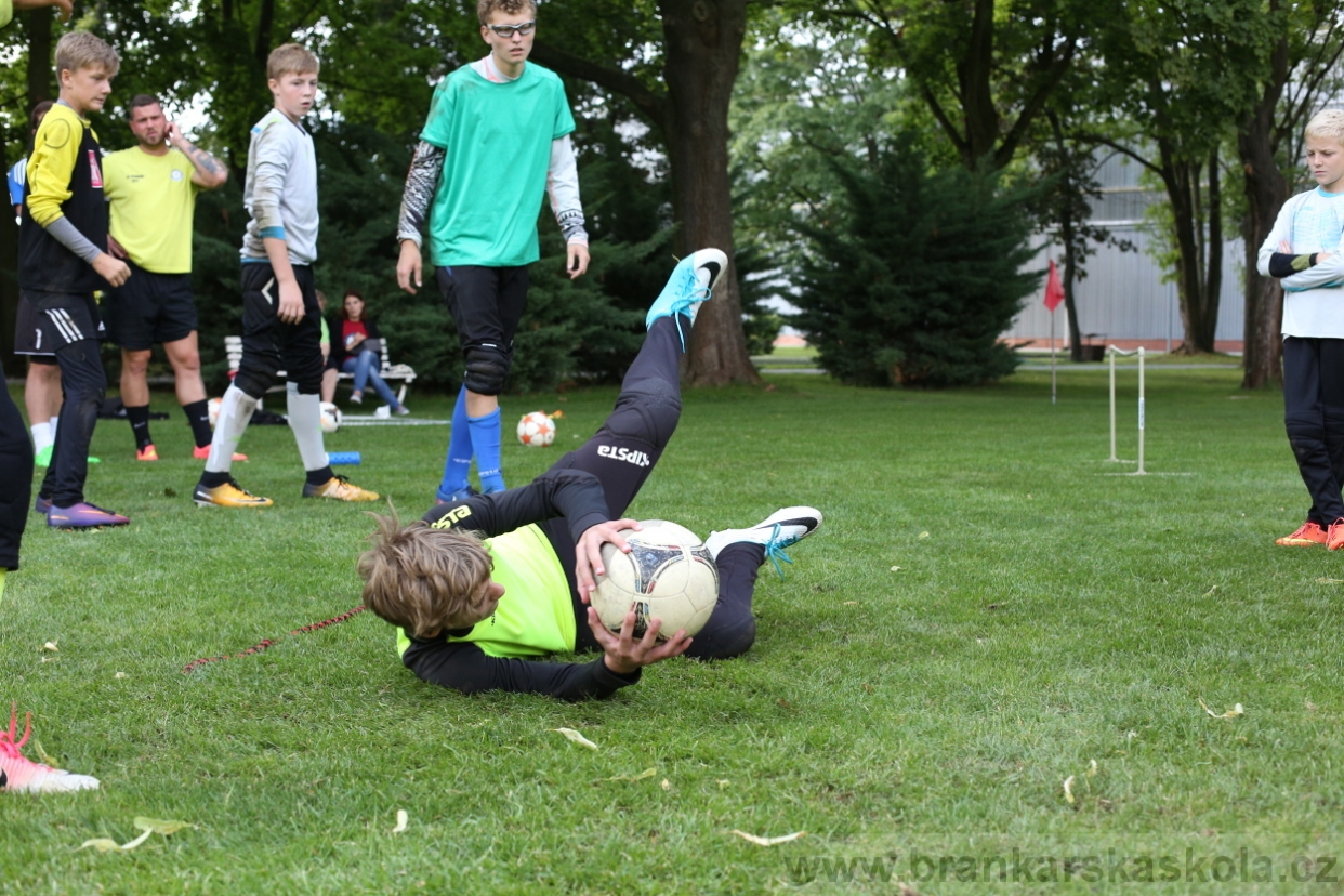 BFŠJCH - Léto 2017 - 28.7.2018
