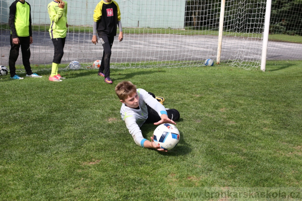 BFŠJCH - Léto 2017 - 28.7.2018