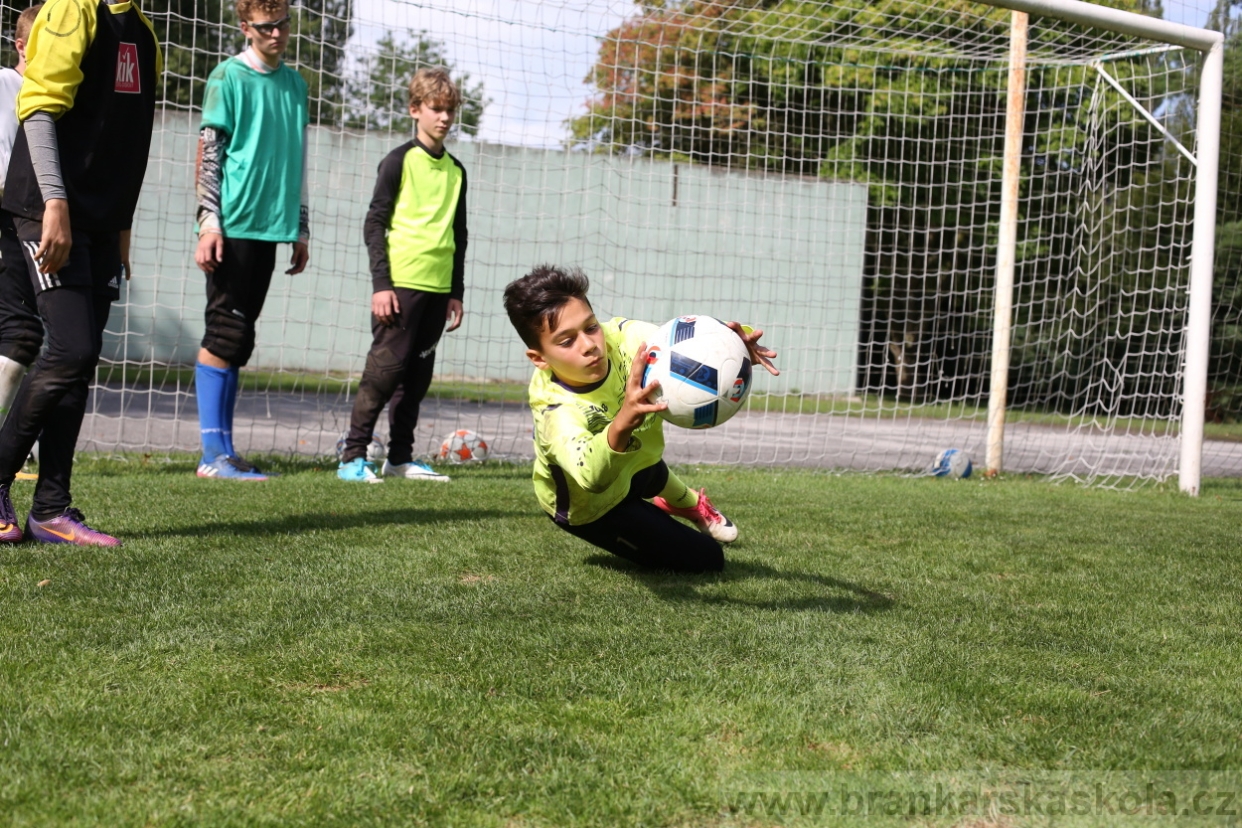 BFŠJCH - Léto 2017 - 28.7.2018