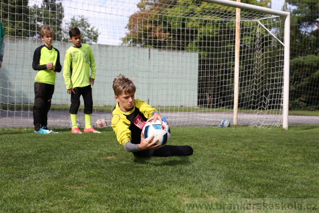 BFŠJCH - Léto 2017 - 28.7.2018