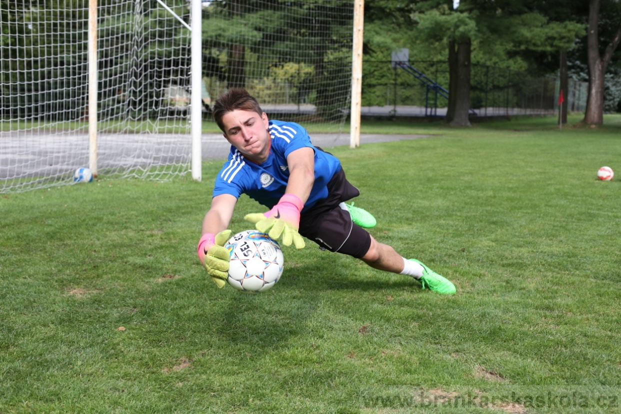 BFŠJCH - Léto 2017 - 28.7.2018