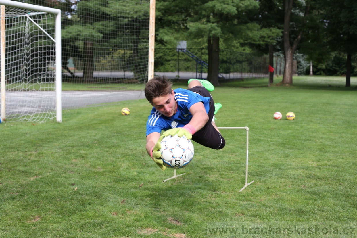BFŠJCH - Léto 2017 - 28.7.2018
