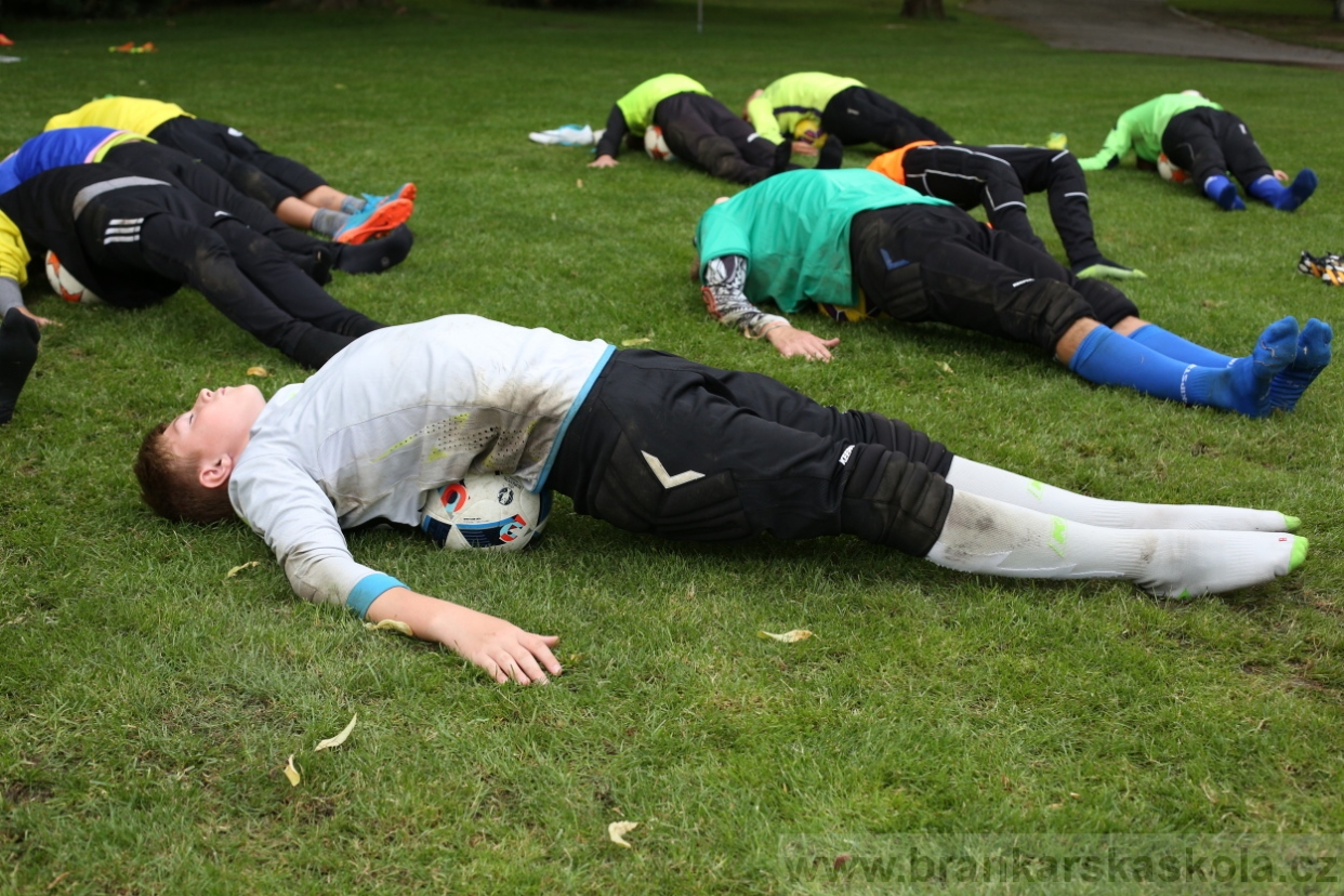 BFŠJCH - Léto 2017 - 28.7.2018