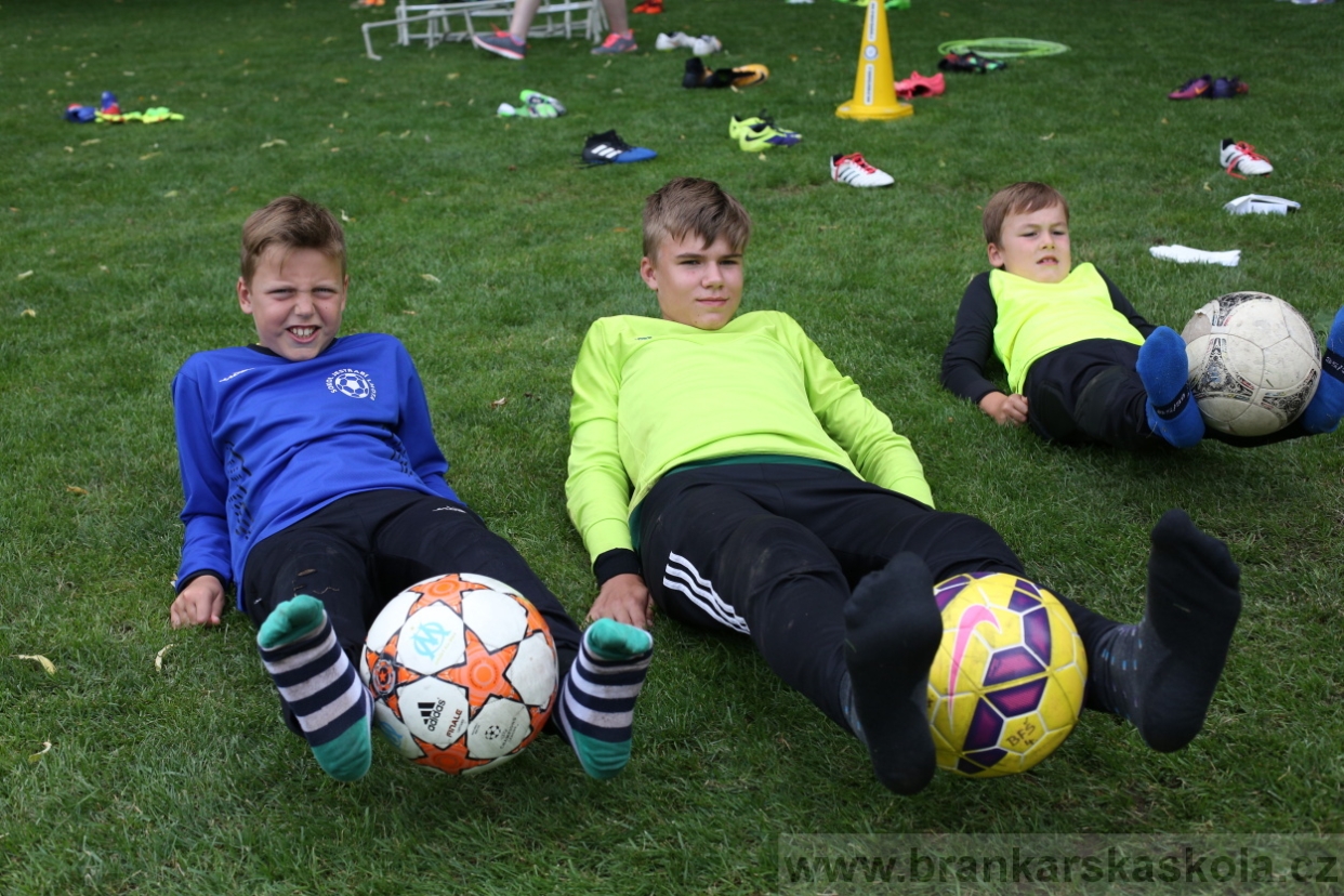 BFŠJCH - Léto 2017 - 28.7.2018