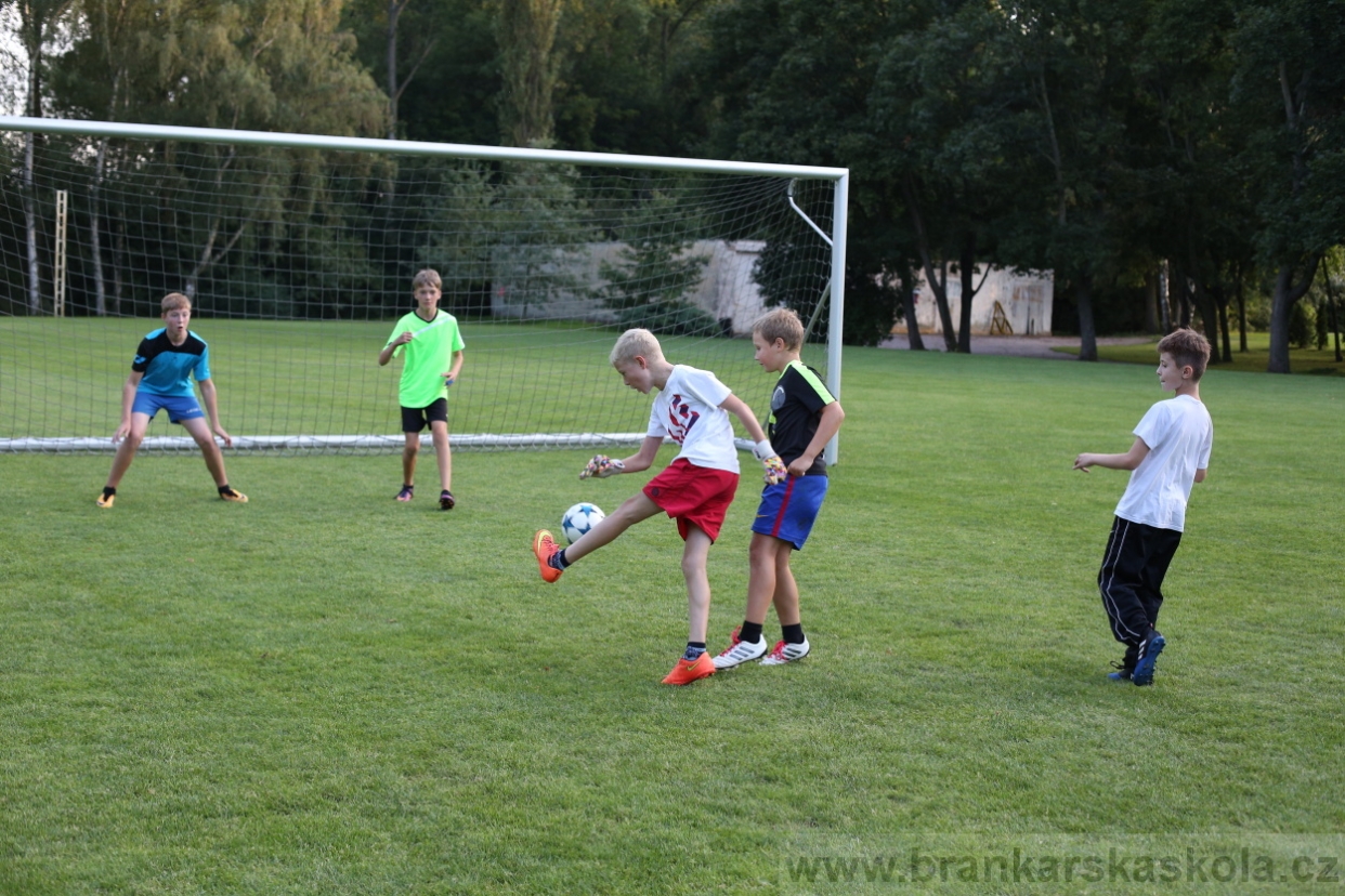 BFŠJCH - Léto 2017 - 28.7.2018