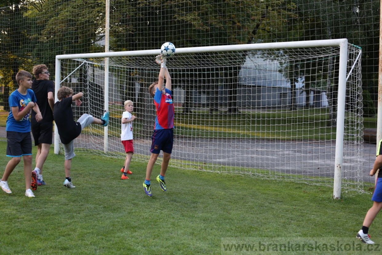 BFŠJCH - Léto 2017 - 28.7.2018