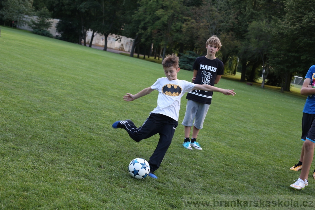BFŠJCH - Léto 2017 - 28.7.2018