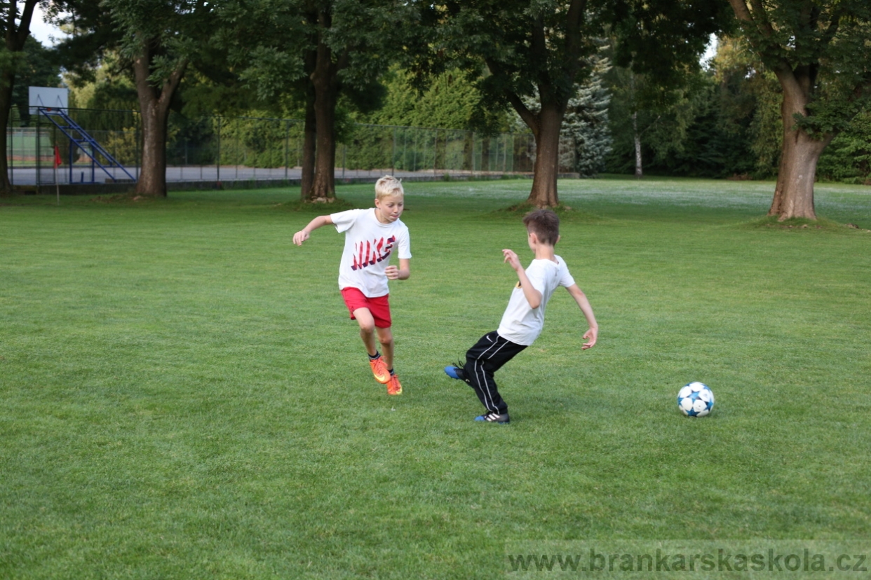 BFŠJCH - Léto 2017 - 28.7.2018
