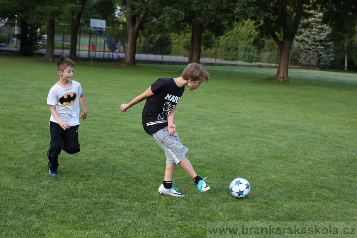 BFŠJCH - Léto 2017 - 28.7.2018