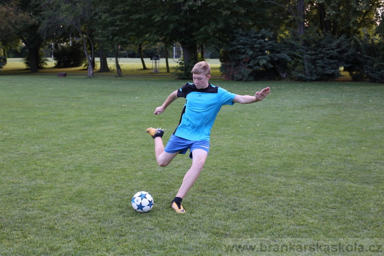 BFŠJCH - Léto 2017 - 28.7.2018