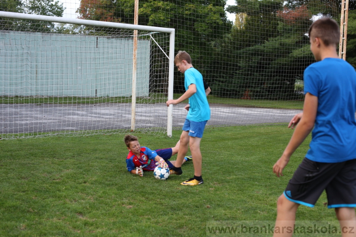 BFŠJCH - Léto 2017 - 28.7.2018