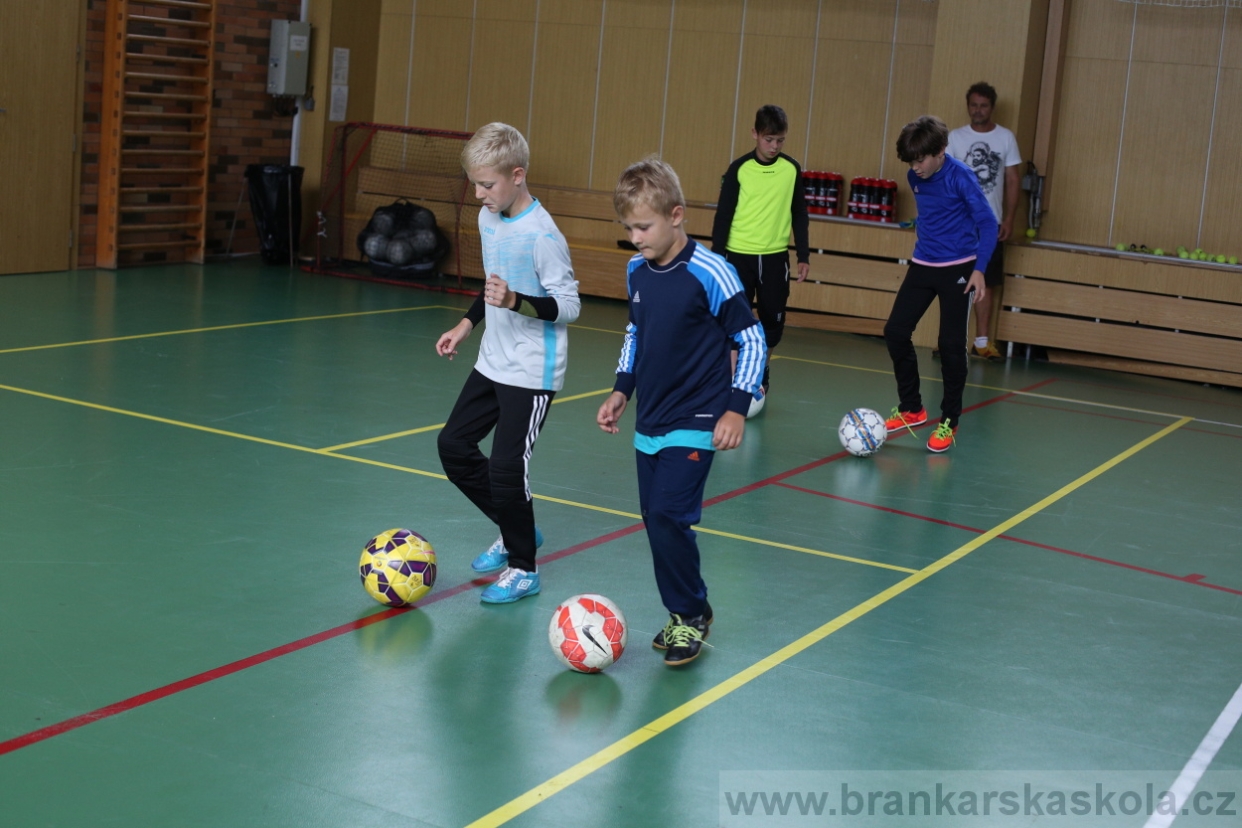 BFŠJCH - Léto 2017 - 28.7.2018